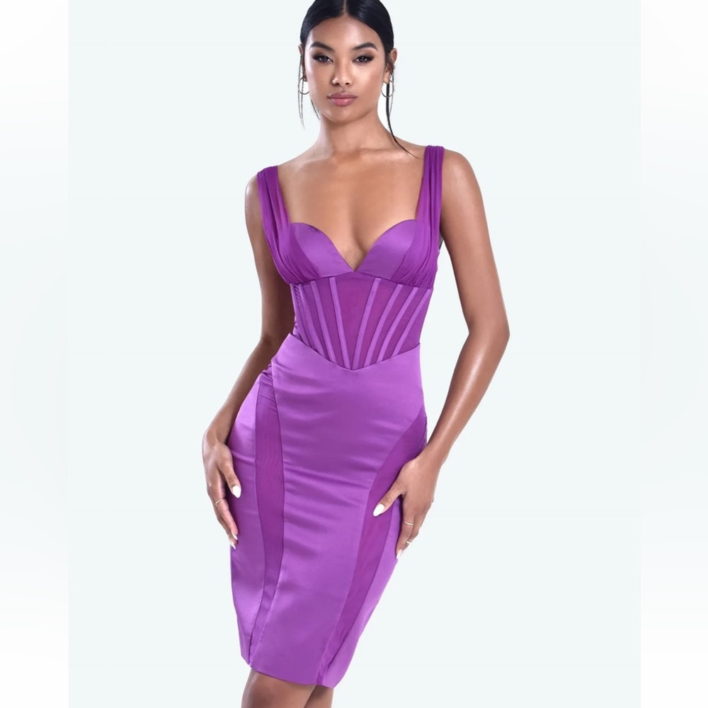 Purple Mesh Corset Style Midi Dress - NWT
